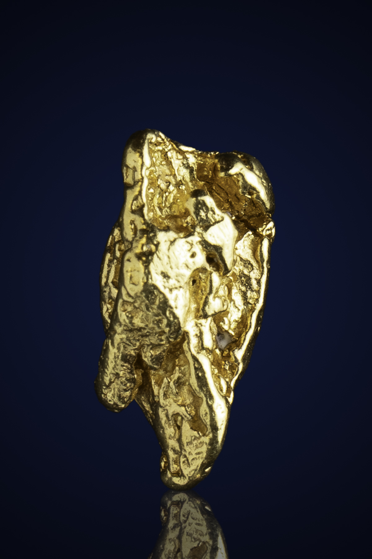 Curvy, Buttery Natural Gold Nugget - Alaska 2025 Summer Mining Season - 1.53 grams (image for) Curvy, Buttery Natural Gold Nugget - Alaska 2025 Summer Mining Season - 1.53 grams